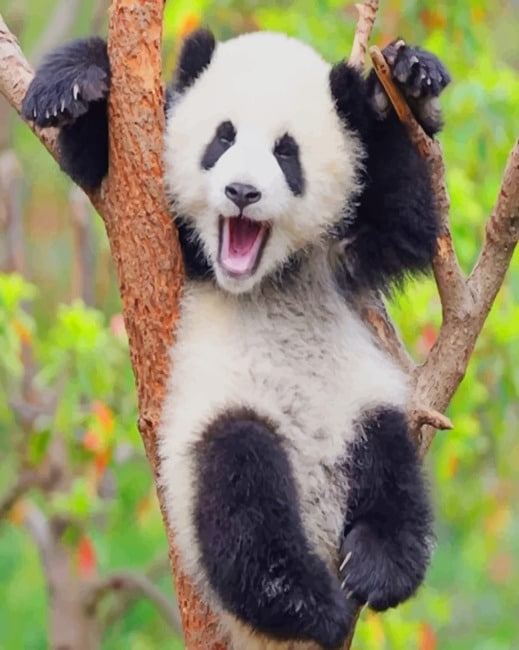 Final Adorable Panda Painting