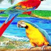 Cute Parrots Colorful Birds Paint By Numbers