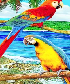 Cute Parrots Colorful Birds Paint By Numbers