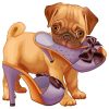 Cute Pug Dog Paint By Numbers