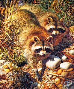 Wildlife Raccoon Scene Paint By Numbers