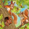 Cute Squirrel Paint By Numbers