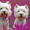 Cute Westie Dog Paint By Numbers