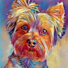 Cute Yorkshire Terrier Dog Paint By Numbers