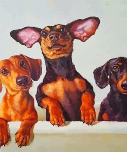 Dachshunds Dogs Paint By Numbers