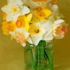 Daffodils and Jars Paint By Numbers