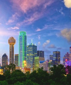 Dallas Skyline Beauty Paint By Numbers