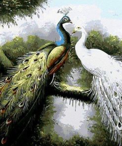 Modern Peacock Bird Paint By Numbers
