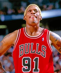 Dennis Rodman Chicago Bulls Paint By Numbers