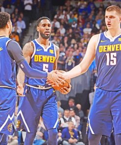 Denver Nuggets Basketball Paint By Numbers