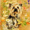 Yorkshire Terrier Dog Paint By Numbers