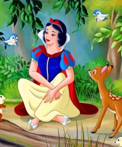 Snow White Disney Classic Paint By Numbers
