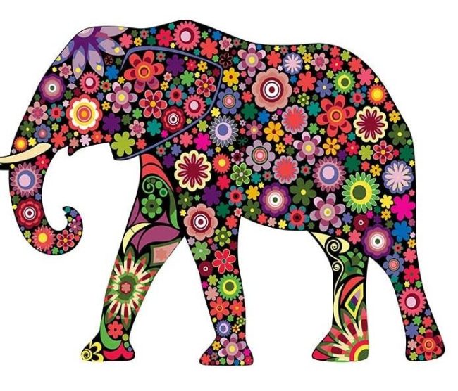 Elephant Animals Illustration Paint By Numbers