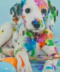 Colorful Dalmatian Dog Paint By Numbers