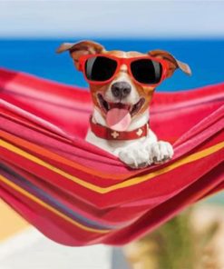 Stylish Dogs Sunglasses Paint By Numbers