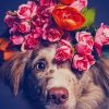 Dog Flower Crown Paint By Numbers