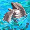 Joyful Dolphins Swim Paint By Numbers