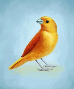 Canary Companion Paint By Numbers