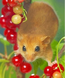 Dormouse Rodent Paint By Numbers