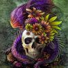 Dragon Skull and Floral Paint By Numbers