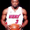 Dwyane Wade Sports Icon Paint By Numbers