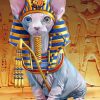 Majestic Egyptian Cat Paint By Numbers
