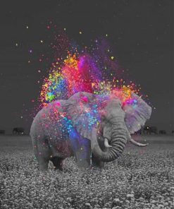 Colorful Elephant Scene Paint By Numbers