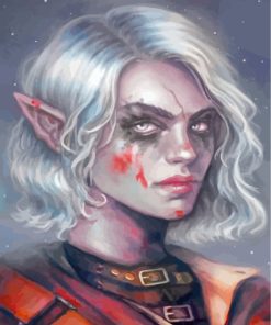 Enchanted Elf Woman Paint By Numbers