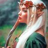 Elf Woman Fantasy Paint By Numbers