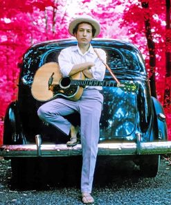 Bob Dylan Star Celebrity Paint By Numbers