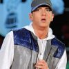 Eminem Celebrity Tribute Paint By Numbers
