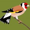 Easy European Goldfinch Paint By Numbers