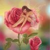 Pink Rose Fairy Paint By Numbers