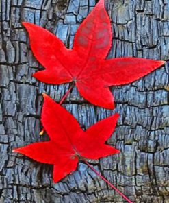 Maple Red Fall Leaves Paint By Numbers