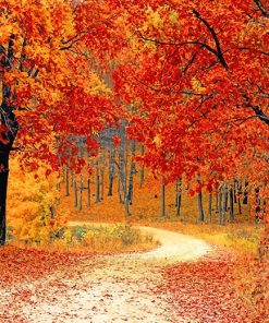 Autumn Red Forest Paint By Numbers