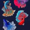 Betta Fish Painting Kit Paint By Numbers