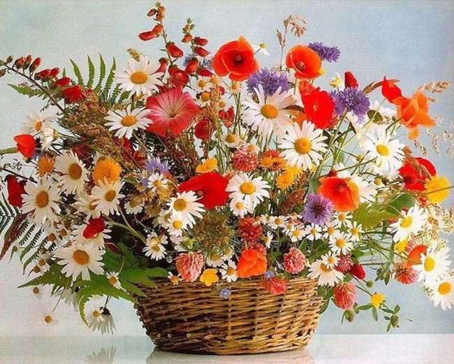 Home Flowers Daisy Paint By Numbers