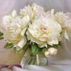 White Peony Vase Paint By Numbers