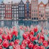 Amsterdam Flowers and Buildings Paint By Numbers