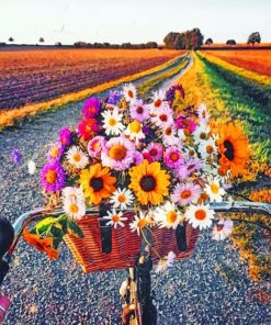 Scenic Bike Ride Paint By Numbers