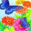 Colorful Butterfly Blooms Paint By Numbers