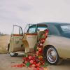 Red Flowers in Vintage Car Paint By Numbers