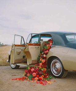 Red Flowers in Vintage Car Paint By Numbers