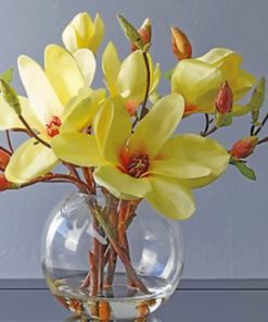 Magnolia Flowers Paint By Numbers