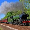 Flying Scotsman Train Engines Paint By Numbers