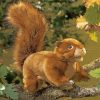 Folkmanis Squirrel Puppet Paint By Numbers