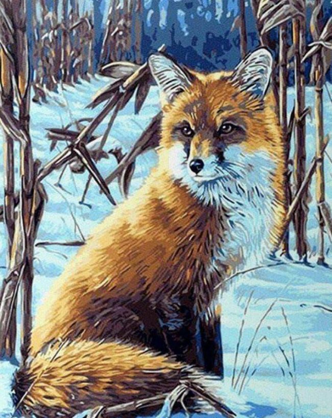 Winter Fox Paint By Numbers