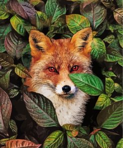 Red-Eyed Fox Paint By Numbers