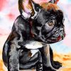 Black Bulldog Puppy Paint By Numbers
