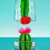 Colorful Cactus Plants Paint By Numbers